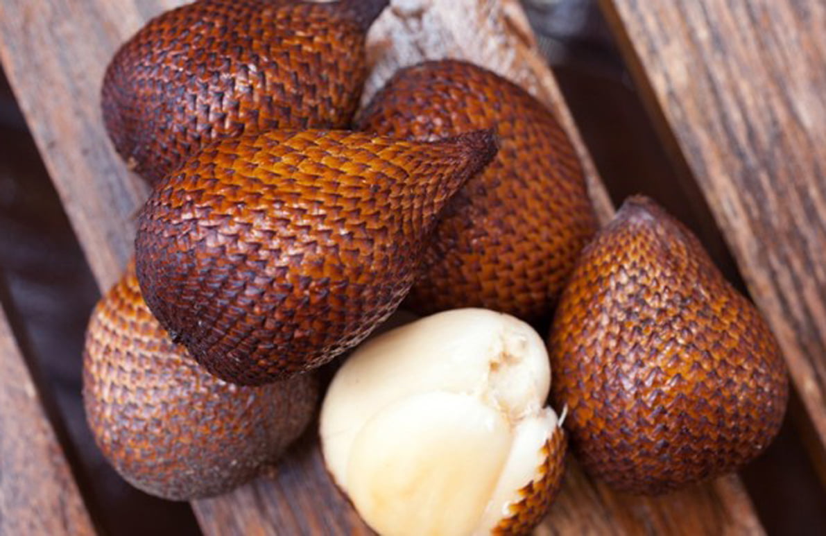 Penting! Ini 6 Manfaat Buah Salak Untuk Kesehatan Tubuh Kita