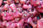 Rajin Minum Jahe Merah? Temukan Manfaat Alami Bagi Kesehatan